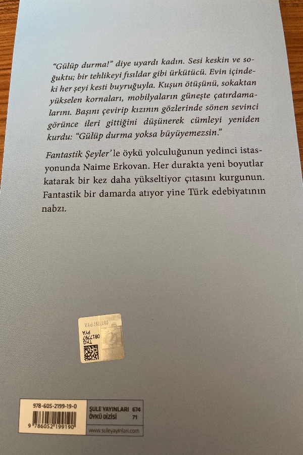 Fantastik şeyler