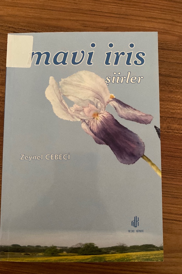 mavi iris
