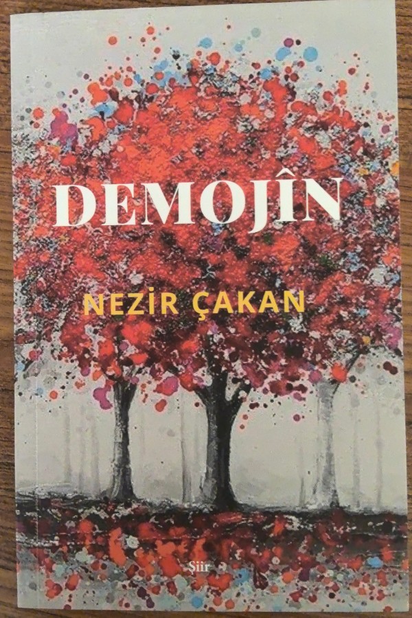 Demojin