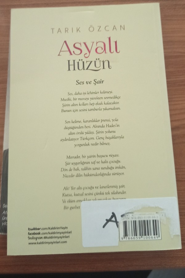 Asyalı Hüzün