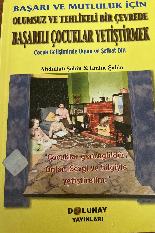 Başarı ve mutluluk için olumsuz ve tehlikeli bir çevrede başarılı çocuklar yetiştirmek