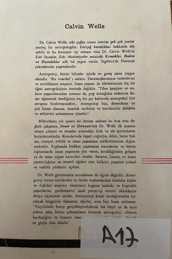 İnsan ve dünyası