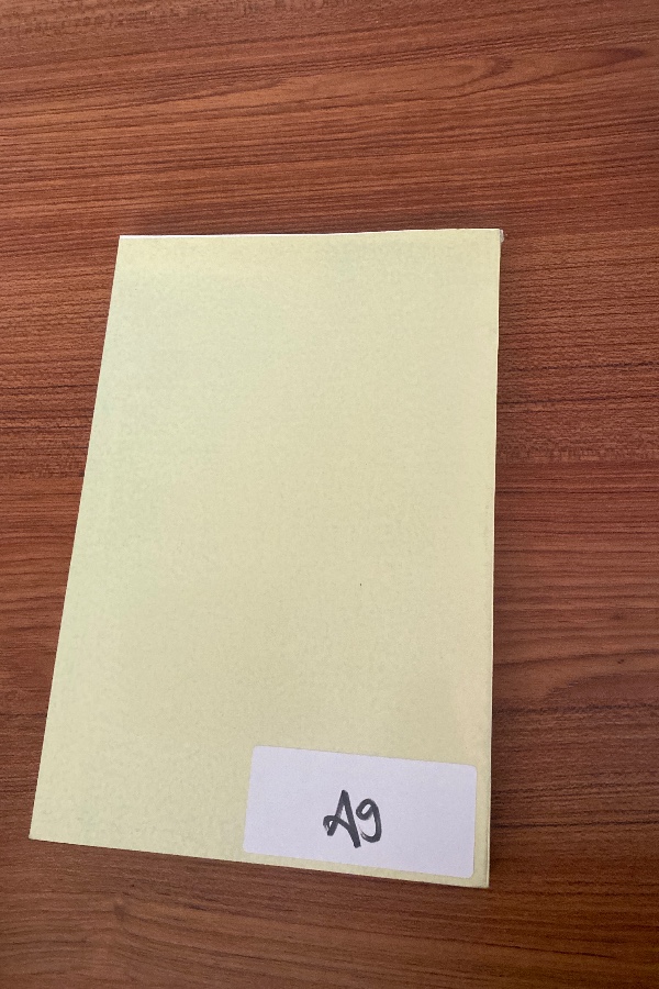 Kınalızâde Ali Çelebi ‘de aile