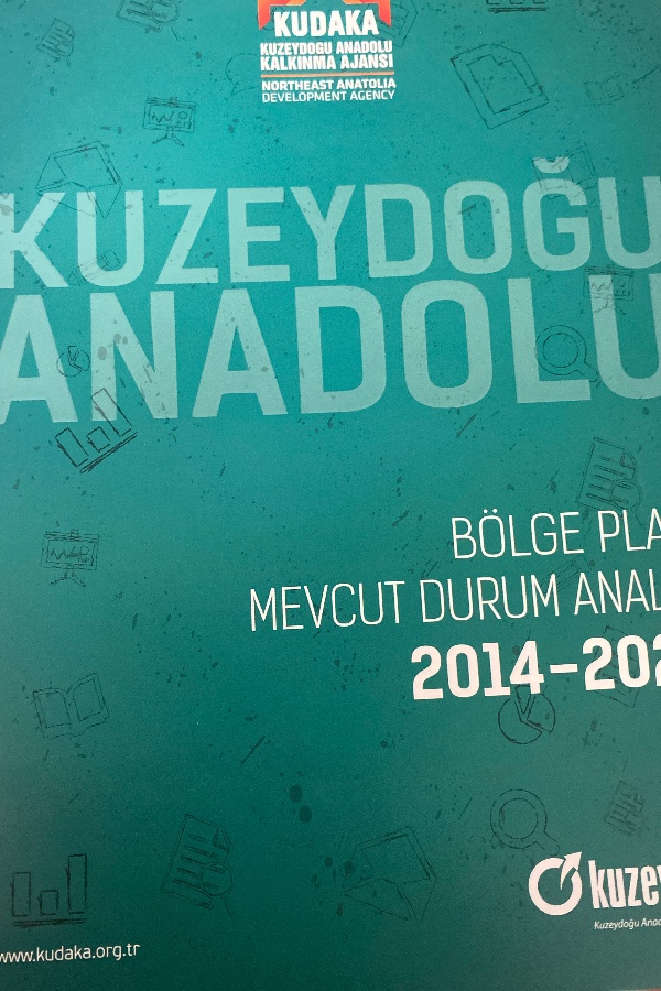 Kuzeydoğu Anadolu
