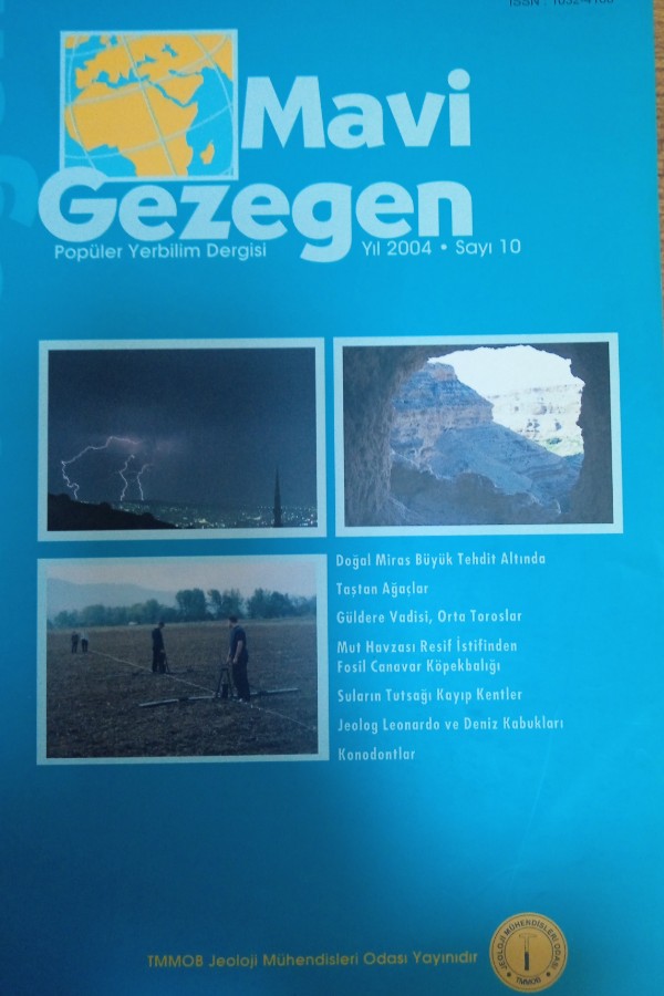 Mavi gezegen