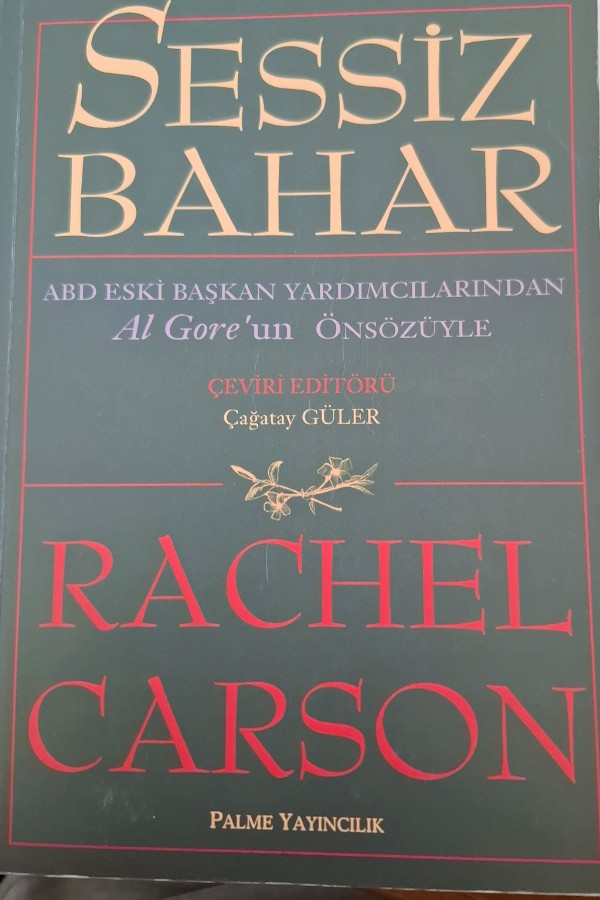 Sessiz bahar