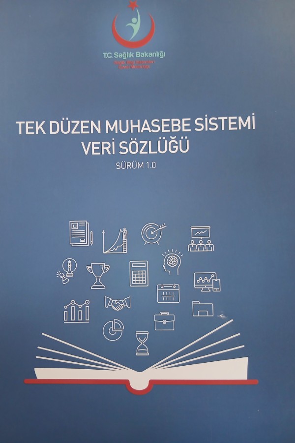 Tek düzen muhasebe sistemi veri sözlüğü