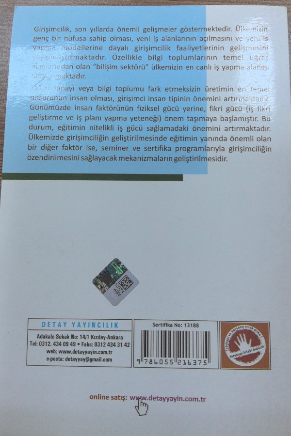 Girişimcilik
