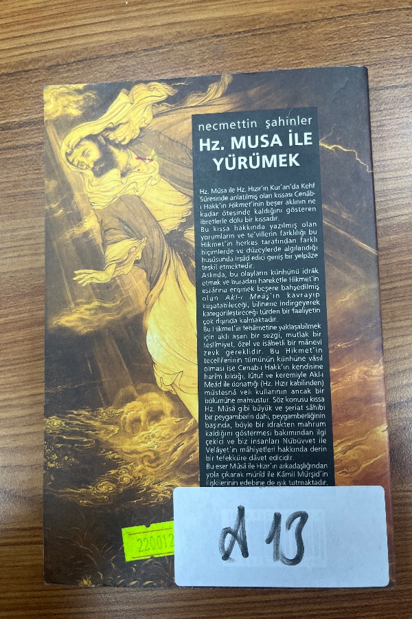 Musa İle Yürümek