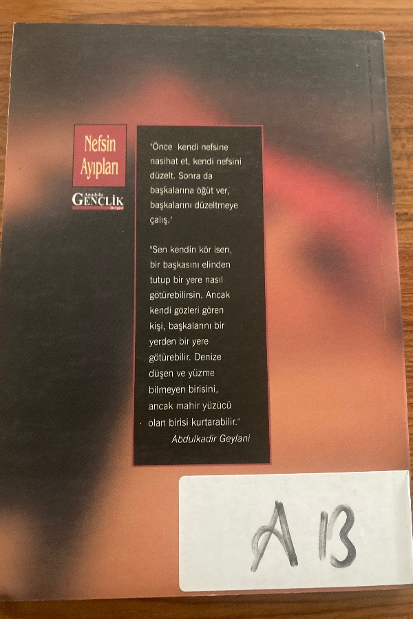 Nefsin  Ayıpları