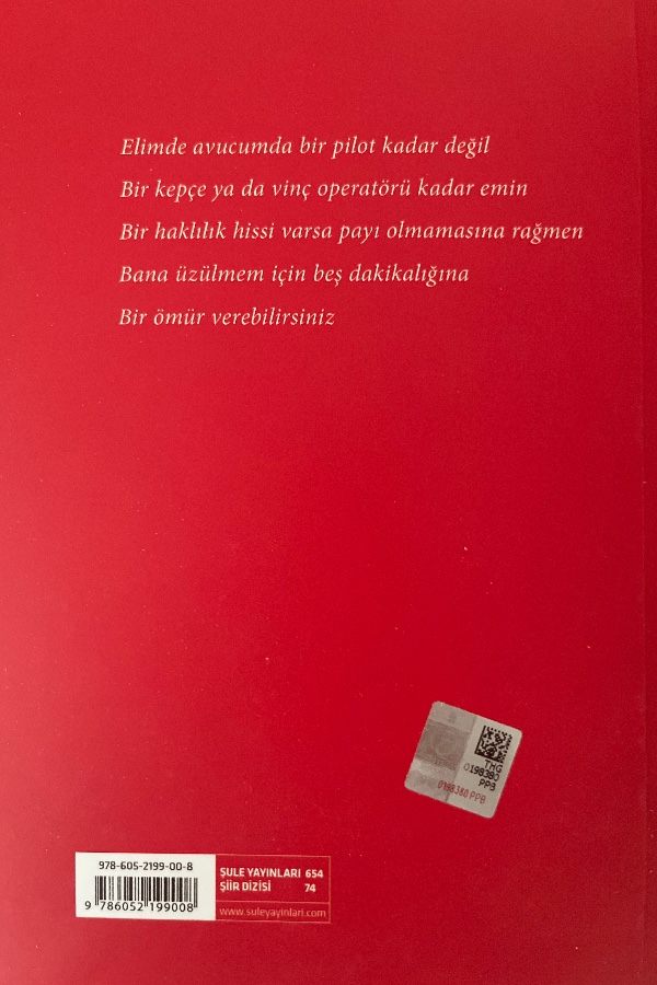 Alayına Şiir
