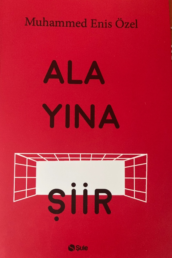 Alayına Şiir