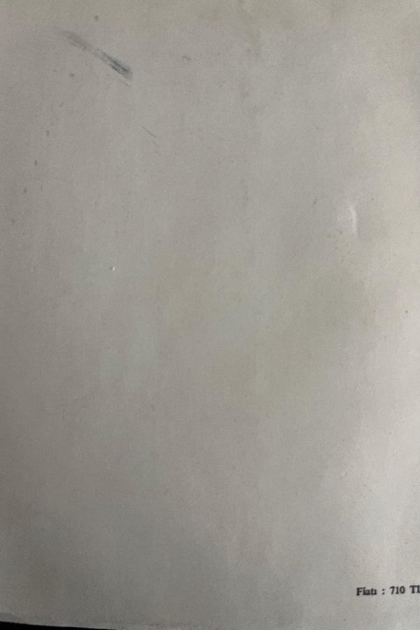 Fizik