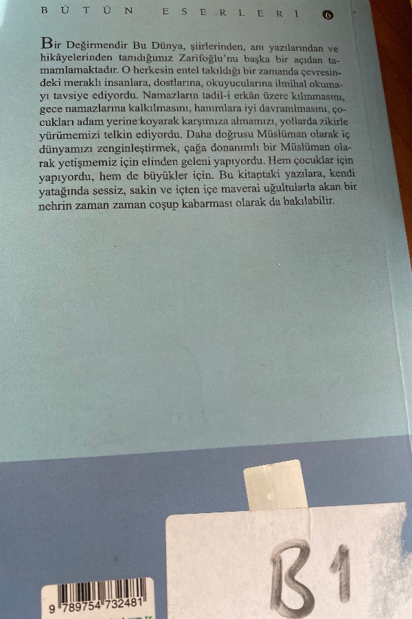 Bir değirmende bu dünya