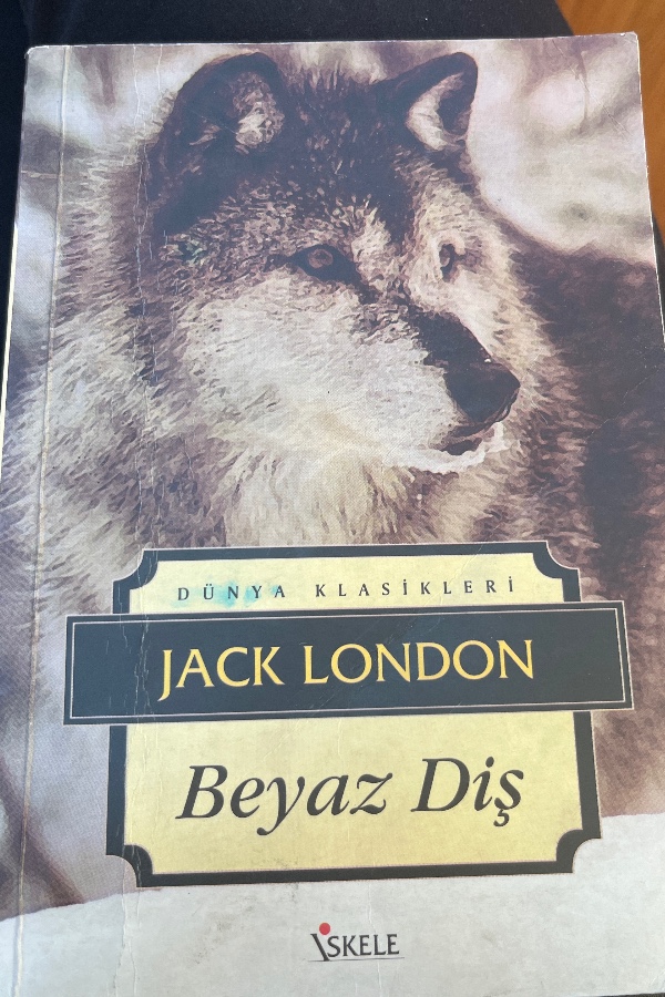 Beyaz Diş