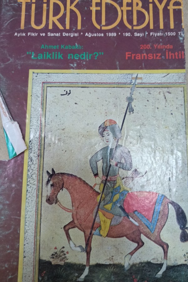 Türk edebiyatı