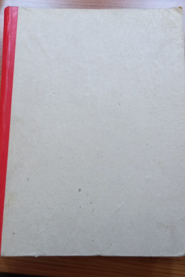 Televizyon
