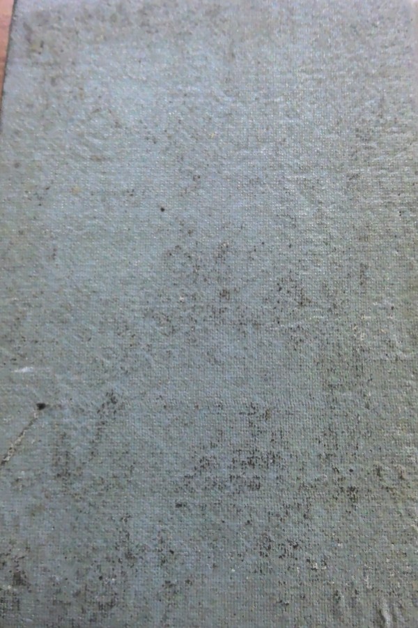 Mesnevi ve şehri