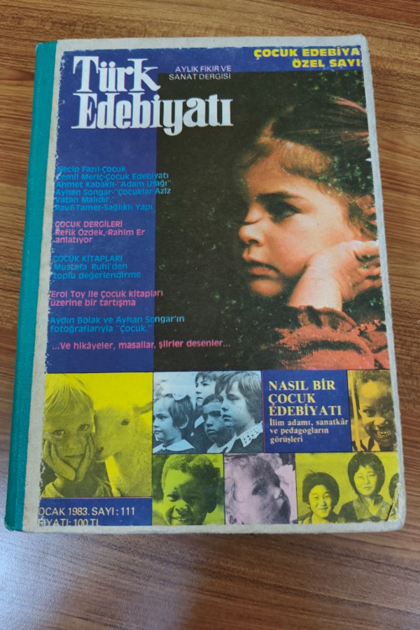 Türk Edebiyatı