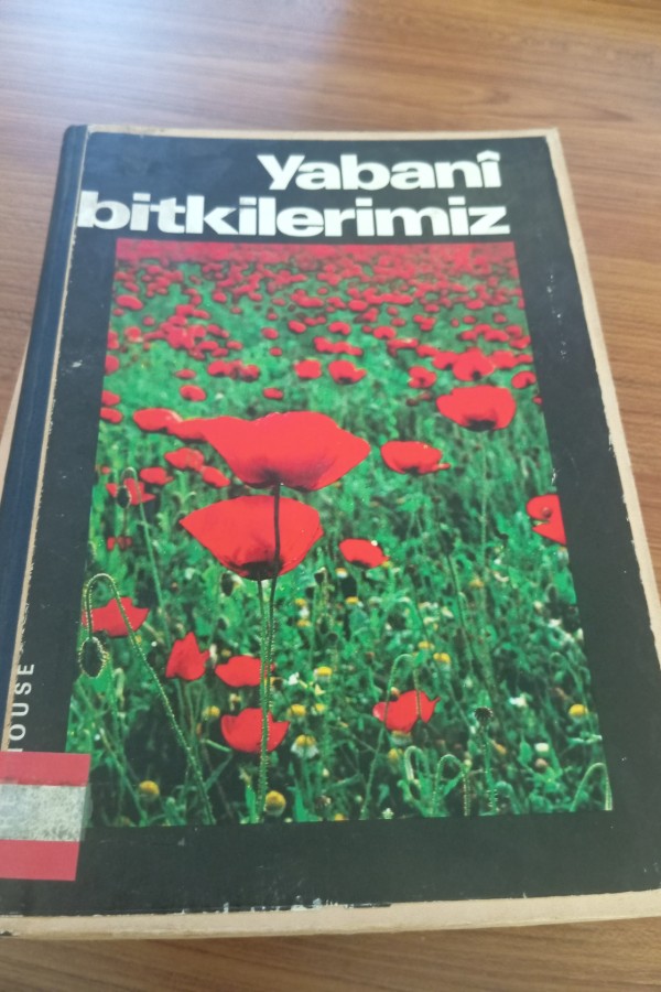 Yabani bitkilerimiz