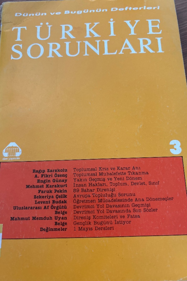 TÜRKİYE SORUNLARI