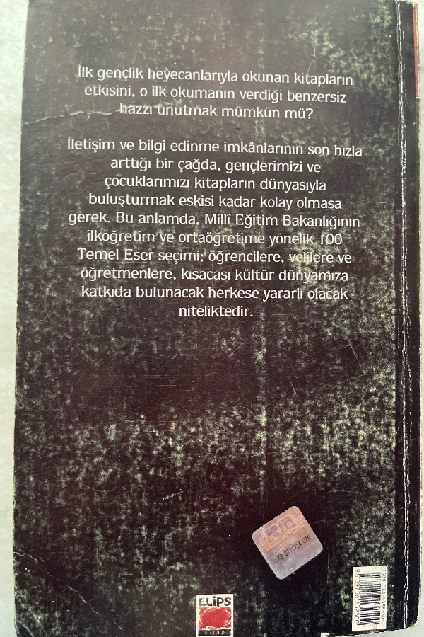 Madam bovary
