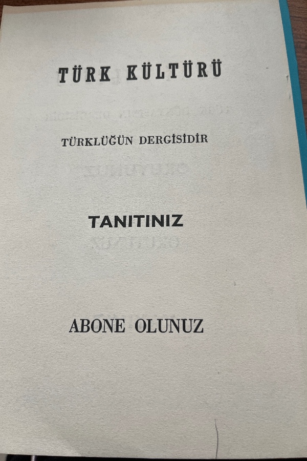 Türk kültürü