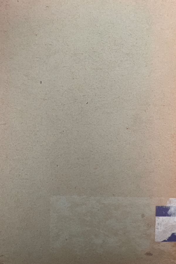 Türkistan bibliyografyası