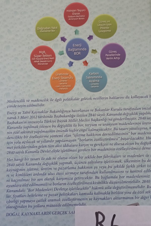 Bor çalıştayı