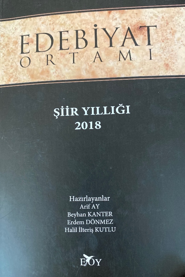 Edebiyat ortamı