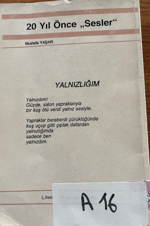 Boşnak Edebiyatı